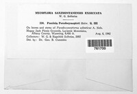Image Associated With the Occurence